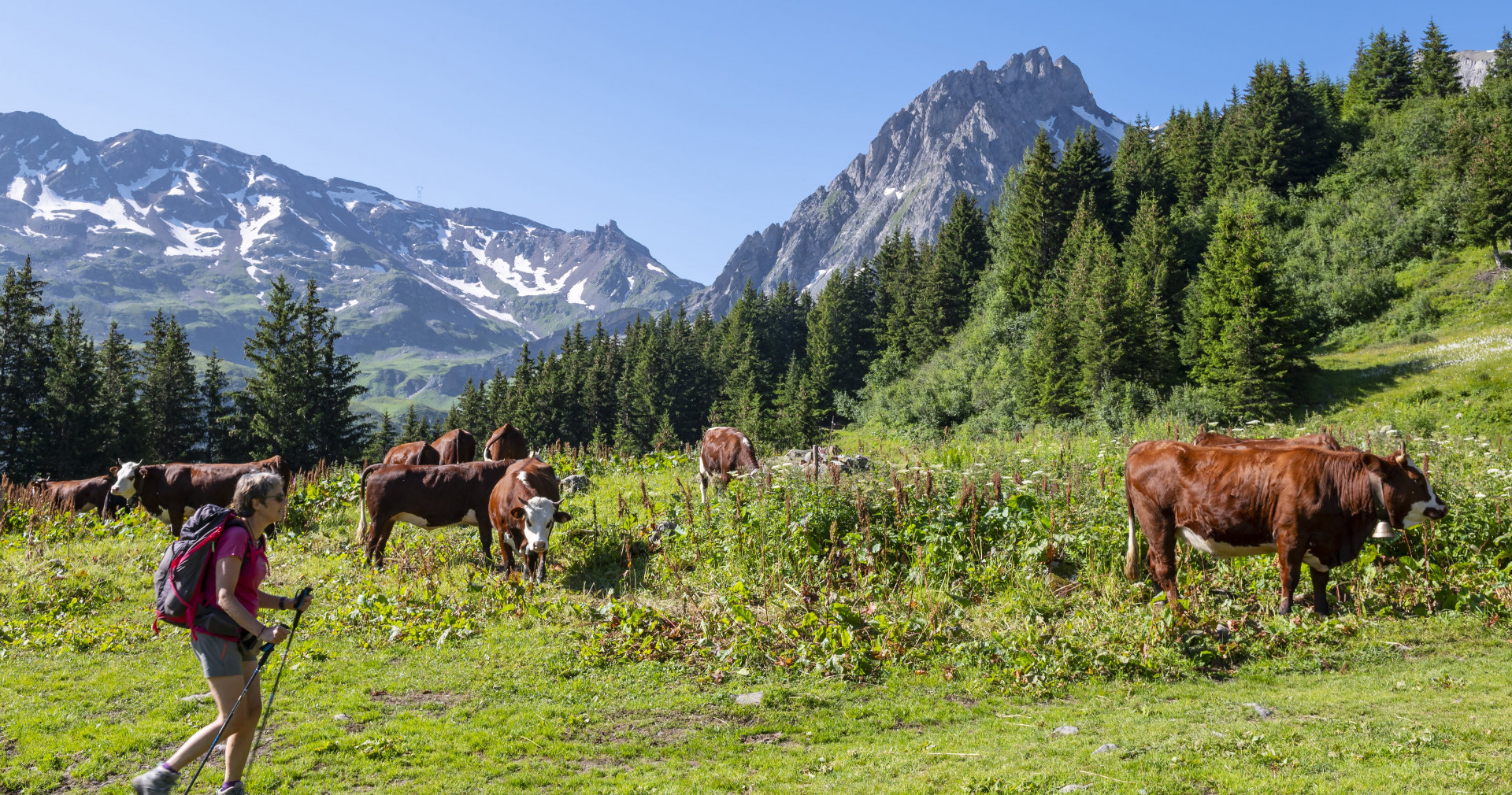 randonn-e-en-alpage-photo-gilles-lansard-les-contamines-tourisme-min-1613