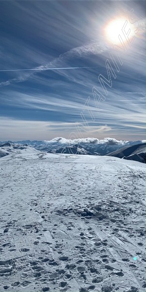 image1-292822 image1-292822