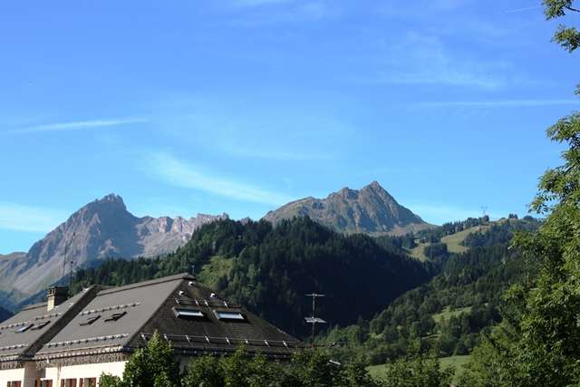 img-1536-6413 img-1536-6413