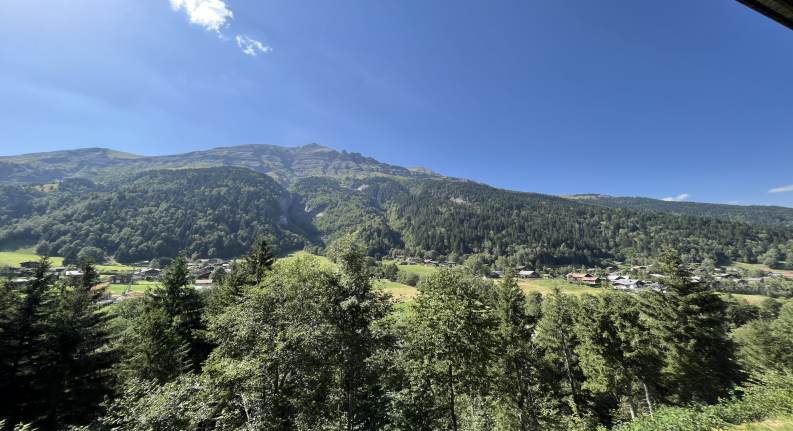 paysage-balcon-503526 paysage-balcon-503526
