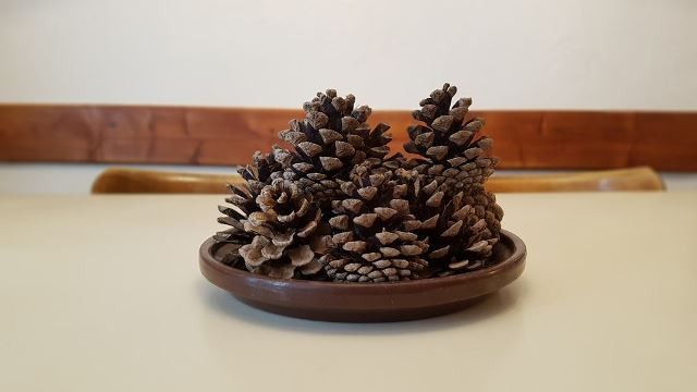 pommes-de-pin-10-72630 pommes-de-pin-10-72630