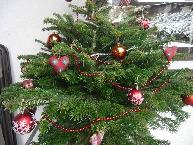 sapin-72633 sapin-72633