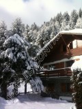 apm-hiver-14876