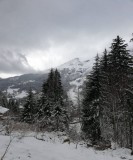 img-20210502-wa0006-280409