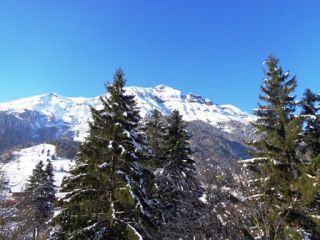 dsc00453-5260 dsc00453-5260