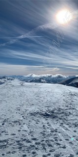 image1-292822