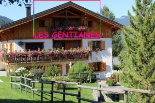 les-gentianes-364241