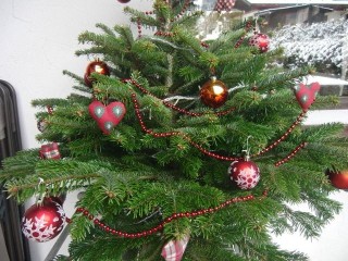 sapin-72633 sapin-72633