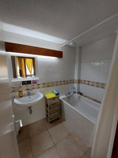 sdb-studio-294996 sdb-studio-294996