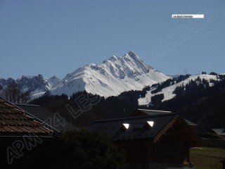 vue-balcon-52337 vue-balcon-52337