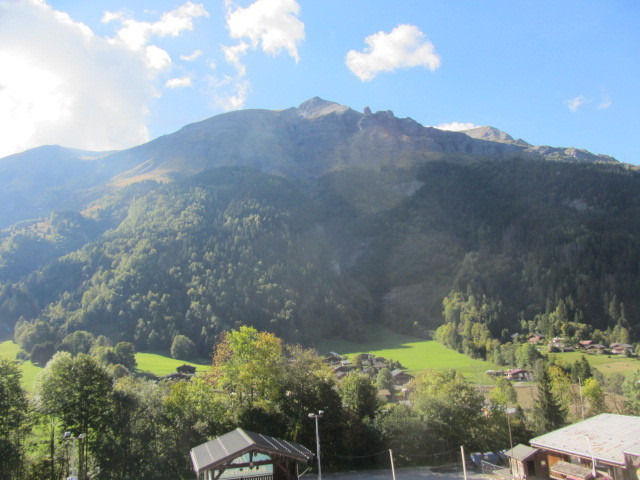 _lv_images__lot_0000004176_10_945849 _lv_images__lot_0000004176_10_945849